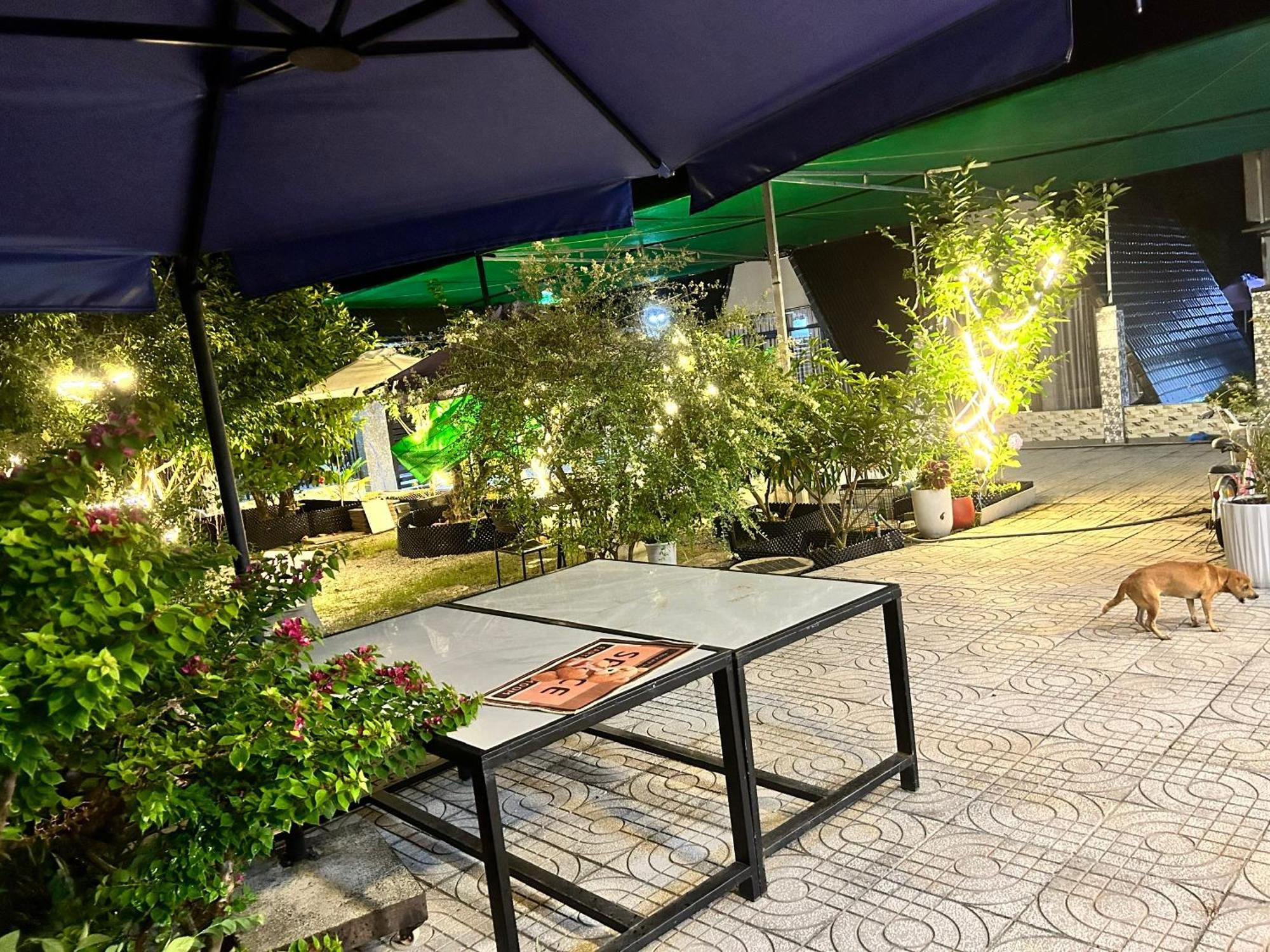 Homestay A Au Family Binh Chau Exteriér fotografie